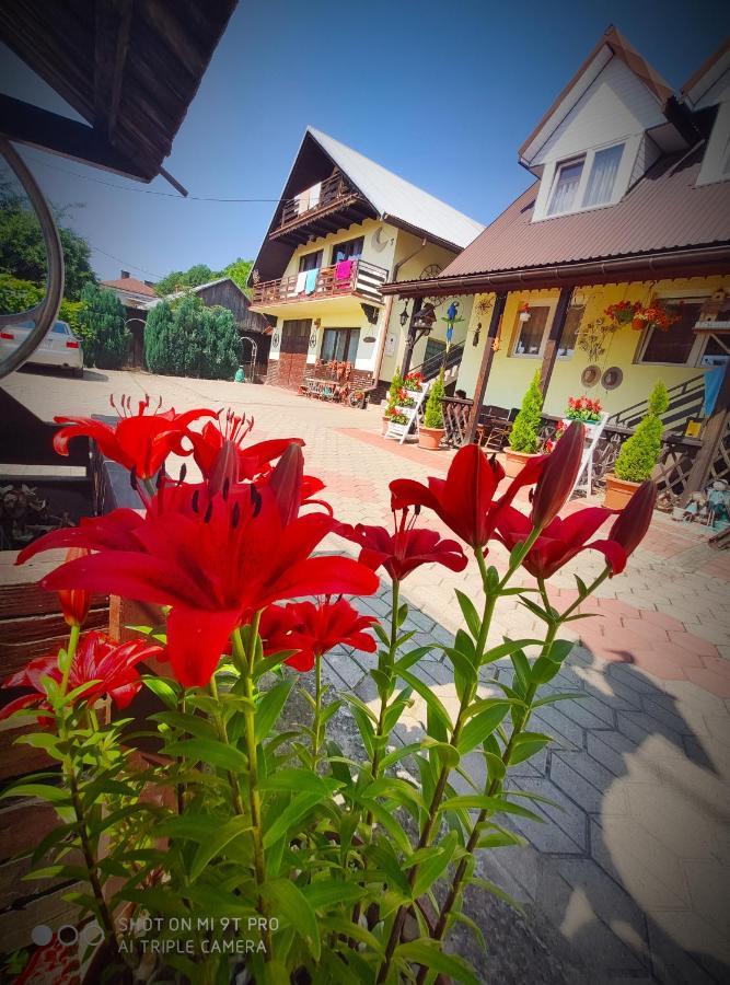 Agroturystyka Pod Kolami Myczkowce Exteriér fotografie